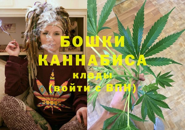 мдпв Лабытнанги
