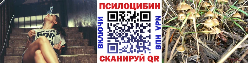 Галлюциногенные грибы Psilocybine cubensis  продажа наркотиков  Оленегорск 